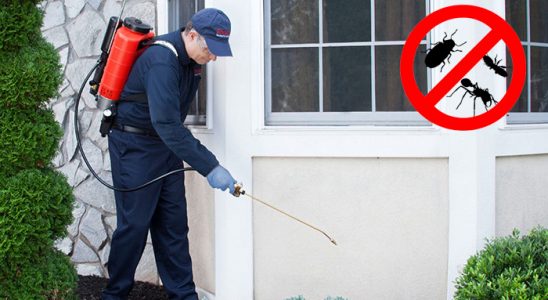 Altındağ Gümüşkurt İlaçlama böcek ilaçlama ve haşere kontrolü — ilaclama-tr.com